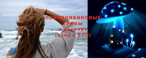 первитин Гусиноозёрск