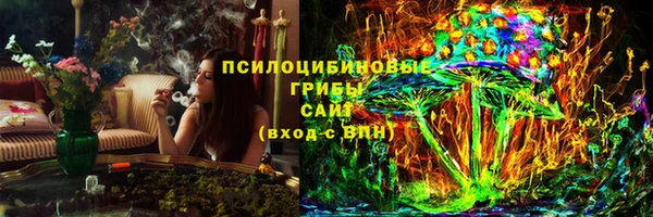 мдпв Туринск