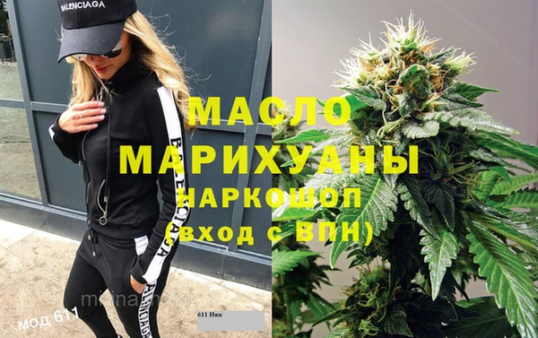 мдпв Туринск