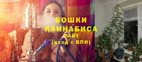метадон Гусь-Хрустальный