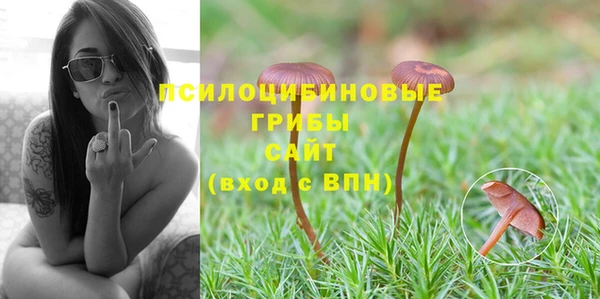 метадон Гусь-Хрустальный