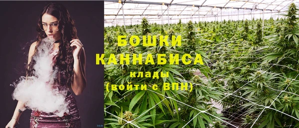 метадон Гусь-Хрустальный