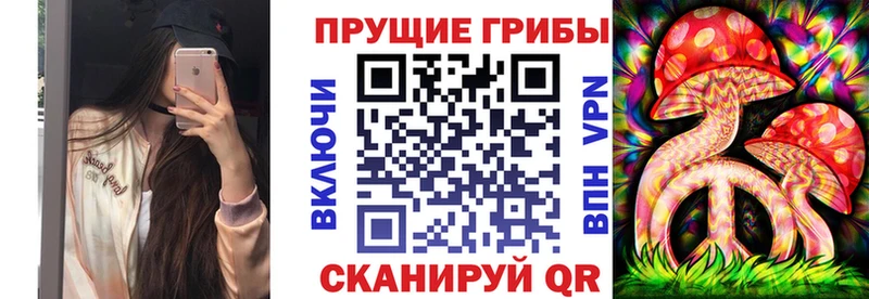 Псилоцибиновые грибы Cubensis  Туапсе 