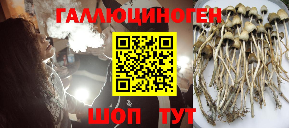 Псилоцибиновые грибы Psilocybine cubensis  Вход с VPN  Туапсе 