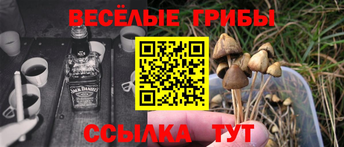 Галлюциногенные грибы Psilocybine cubensis Туапсе